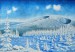 2006 - Jezerní hora - 65x100  - olej plátno.jpg
